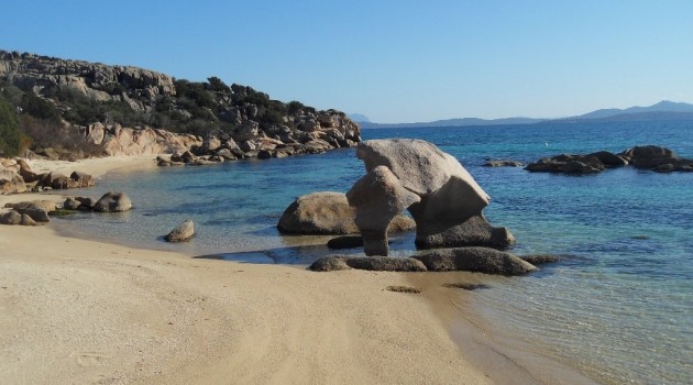 elephant beach